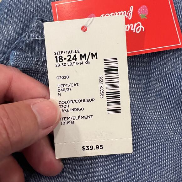 NWT Gymboree Blue Chambray W/Embroidered Strawberry Shift Dress - Picture 8 of 9